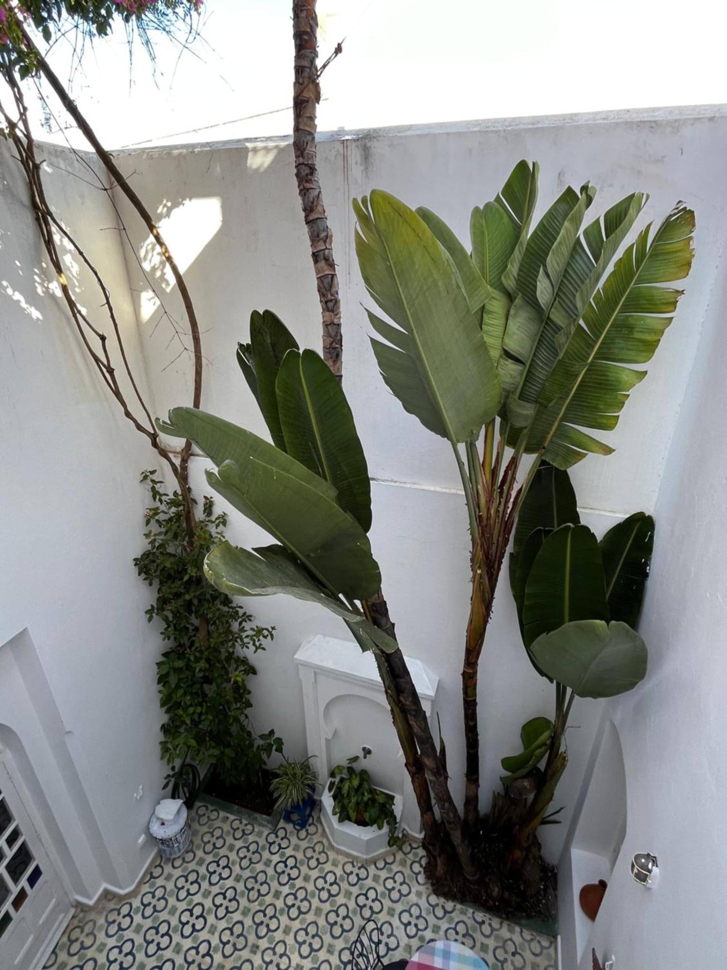 Casabonita Asilah Quarto foto